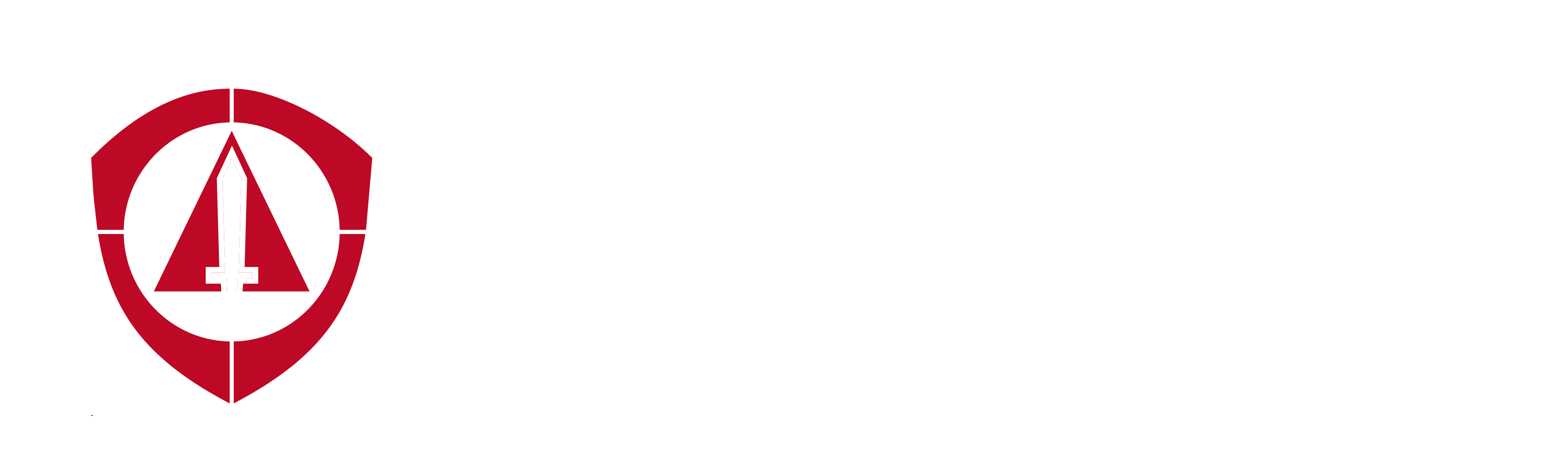 Custom Security Systems Inc